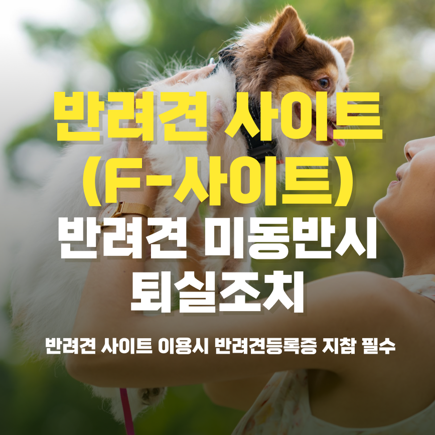 해당파일이미지